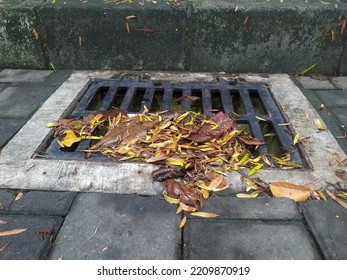 Street Water Drain Blocked With Leaves. Debris Blocks Rainwater Runoff, 