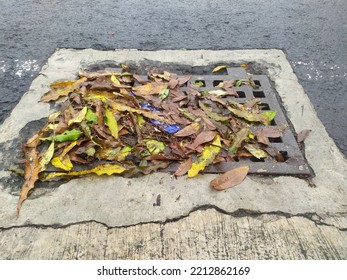 Street Water Drain Blocked With Leaves