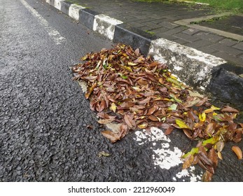 Street Water Drain Blocked With Leaves. Debris Blocks Rainwater Runoff