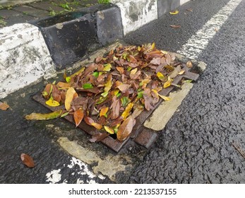 Street Water Drain Blocked With Leaves After The Rain