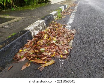 Street Water Drain Blocked With Leaves. Debris Blocks Rainwater Runoff, Clogged Sewer Flooding Across Road After Rain. Leafs Clogs Water Drainage. Autumn Foliage Clogged Storm Drain, Sewer