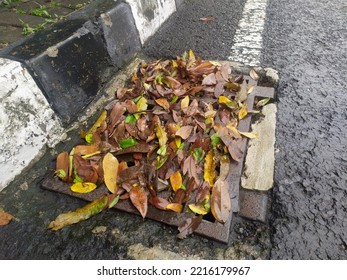 Street Water Drain Blocked With Leaves. Debris Blocks Rainwater Runoff, Clogged Sewer Flooding Across Road After Rain