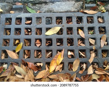 Street Water Drain Cover With Leaves. Debris Blocks Rainwater Runoff, Clogged Sewer Flooding Across Road After Rain. Leafs Clogs Water Drainage. Autumn Foliage Clogged Storm Drain, Sewer