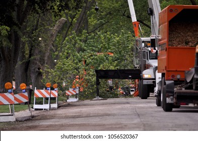 Street Works. Tree Removal. Large Tree Branch Lowered Down And Prepared For Grinding.