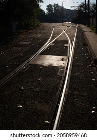 Streetcar tracks in the morning backlit