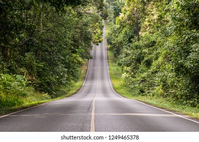 street.highway road with green tree in Khao Yai National Park.winding road through a forest leading into a tunnel .Mountain road with a tunnel of trees.long road in countryside