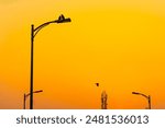 A streetlight silhouetted against a colorful sunset next to a light pole
