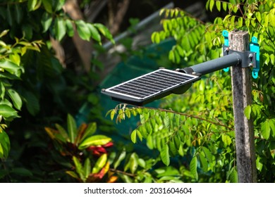 A Streetlight Which Has A Photovoltaic Panel On The Above Side To Get Energy From The Sunlight And Give The Light At Night Installed By The Rural Road In The Northern Part Of Thailand.