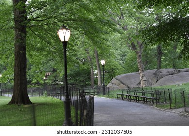 Streetlights Along Paved Walking Path in Central Park, Summer in New York City  - Shutterstock ID 2312037505
