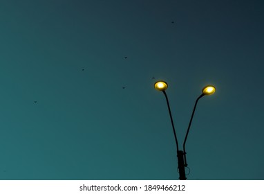 Streetlights At Dusk, Nice Sky