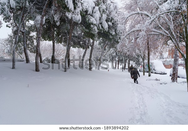Streets and buildings covered in snow by day due\
to snowstorm Filomena falling in Madrid Spain. People walking in\
the snow.\
