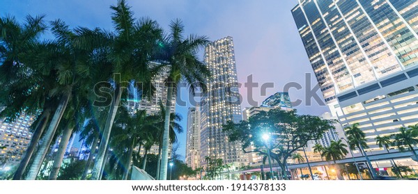 Streets and\
Buildings of Downtown Miami at\
night.
