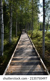 Streets And Hiking Paths In Finnish Lapland, Finland During Autumn