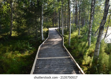 Streets And Hiking Paths In Finnish Lapland, Finland During Autumn