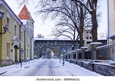 Streets Of Old Tallinn In Winter