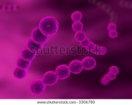 strepptococcus