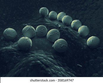 Streptococcus Pyogenes Infection