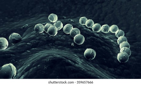 Streptococcus Pyogenes Infection