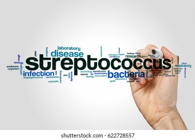 Streptococcus word cloud concept on grey background