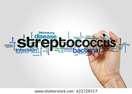 Streptococcus word cloud concept on grey background