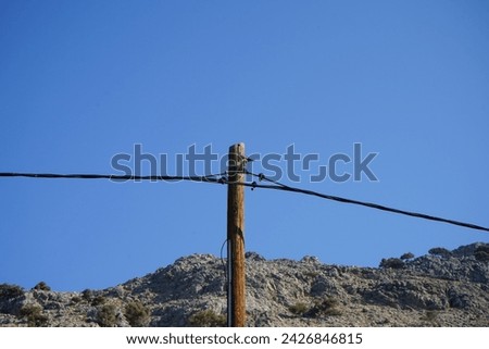 Streptopelia decaocto bird sits on a wooden electricity pole in August. The Eurasian collared dove, collared dove or Turkish dove, Streptopelia decaocto, is a dove species. Rhodes Island, Greece
