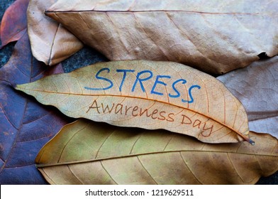 STRESS Awareness Day