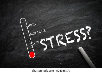 Stress Level Hd Stock Images Shutterstock