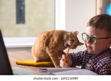 Stressful child studding at home during quarantine on laptop. Home education with pet cat. Online work - Powered by Shutterstock