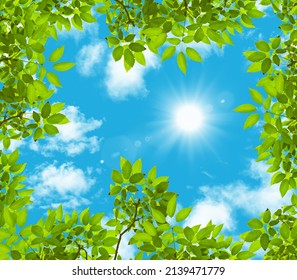 stretch ceiling sky model. green tree leaves. bottom up view sunny sky. - Shutterstock ID 2139471779