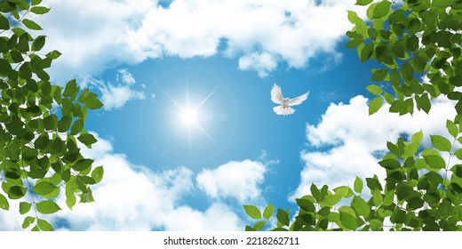 Stretch Ceiling Sky Model. White Dove Flying Among Green Tree Leaves. Bottom Up View Sunny Sky.