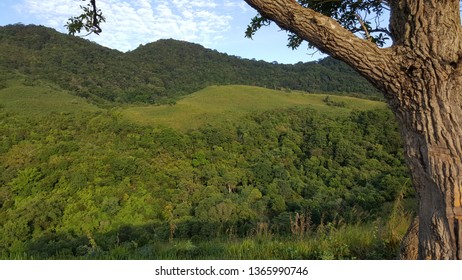 Stretch Of Grassland In The Bukit Barisan Mountains 1