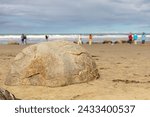 A stretch of Koekohe beach featuring the mysterious Moeraki boulders on the east coast of the South Island of New Zealand. The large boulders, on the Otago coast, are unusually spherical.