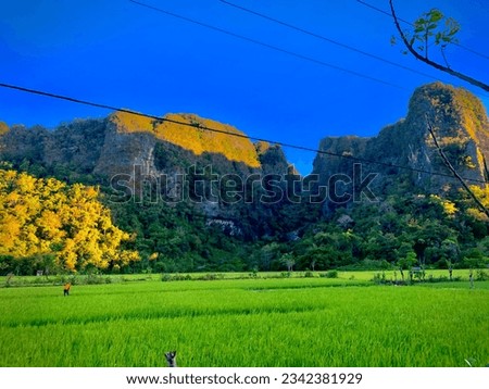 a stretch of rice fields located in the Leang Leang geosite area, is one of its own beauties in Pangkajene Regency, precisely in Kassi Village