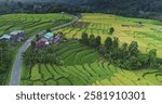 Stretching across landscape of vibrant green and golden terraced rice fields with small houses. A winding road connects the rural area, serene beauty of nature. Natural background. Aerial drone flight