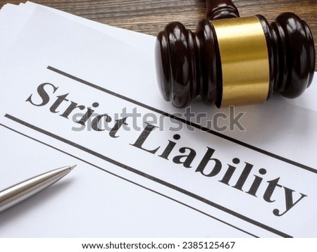 Strict liability documents and gavel.