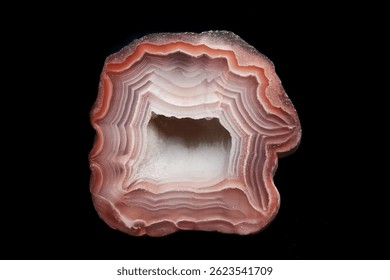 Striking agate slice concentric patterns earthy tones gemstone beauty geological wonder.