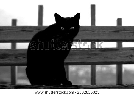 Similar – Image, Stock Photo A weathered wooden bench in front of a yellow painted wall