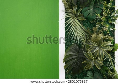A striking contrast between a solid, bright green wall and a detailed vertical garden filled with various tropical plants.