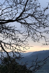 A Striking Image Of A Barren Tree, Its Branches Reaching Out Against The Backdrop Of A Sunrise Over The Hills, Evoking A Sense Of Solitude And The Beauty Of Nature's Cycle.