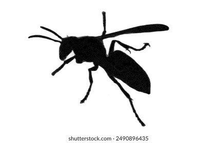 A striking isolated PNG image of a wasp silhouette against a white background, showcasing its distinct shape and features. Ideal for insect-themed designs, educational materials, and nature projects