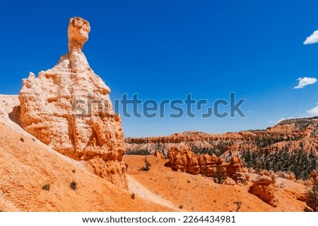 Striking rock formation on the picturesque Queens Garden Trail in the worth seeing Bryce Canyon National Park, USA