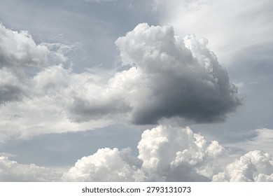 A striking triptych capturing the evolving formation of cumulus clouds against a soft sky. The series documents the atmospheric dance of light and shadow, highlighting the architectural complexity and transient beauty of cloud structures.