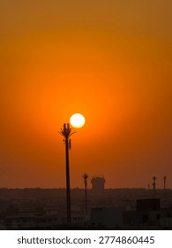 A striking vertical composition capturing a vibrant orange golden hour sunset. The sun forms a perfect glowing orb positioned perfectly behind the silhouette of a telecommunication tower disguised as a palm tree. The distant urban cityscape of Cairo, Egypt, adds depth to this warm, dramatic evening scene, contrasting modern networking technology with the beauty of nature.