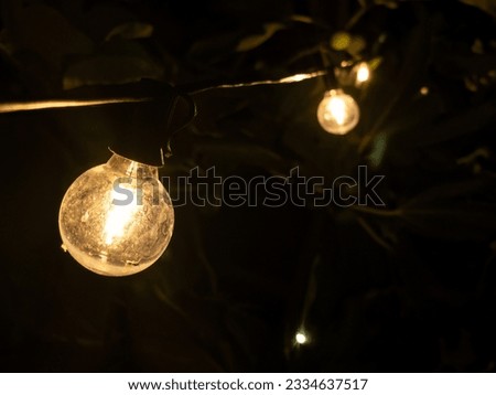 String of decorative light bulbs illuminating a garden party, creating a festive atmosphere.