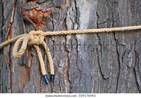 string-edging-stem-tree-stock-photo-109176443-shutterstock