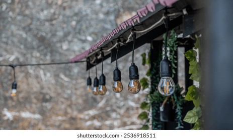 string of Edison-style light bulbs hanging from a wooden awning against a rocky backdrop. - Powered by Shutterstock