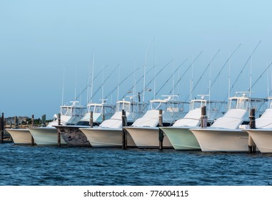 String Of Fishing Charter Boats