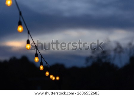 A string of glowing edison light bulbs hung on a patio creates a festive outdoor party vibe against a purple dusk sky.