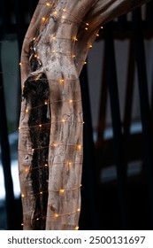 String of lights around the tree