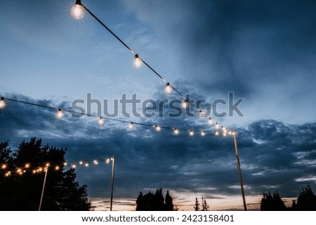string lights with bare lightbulbs at twilight in Maine